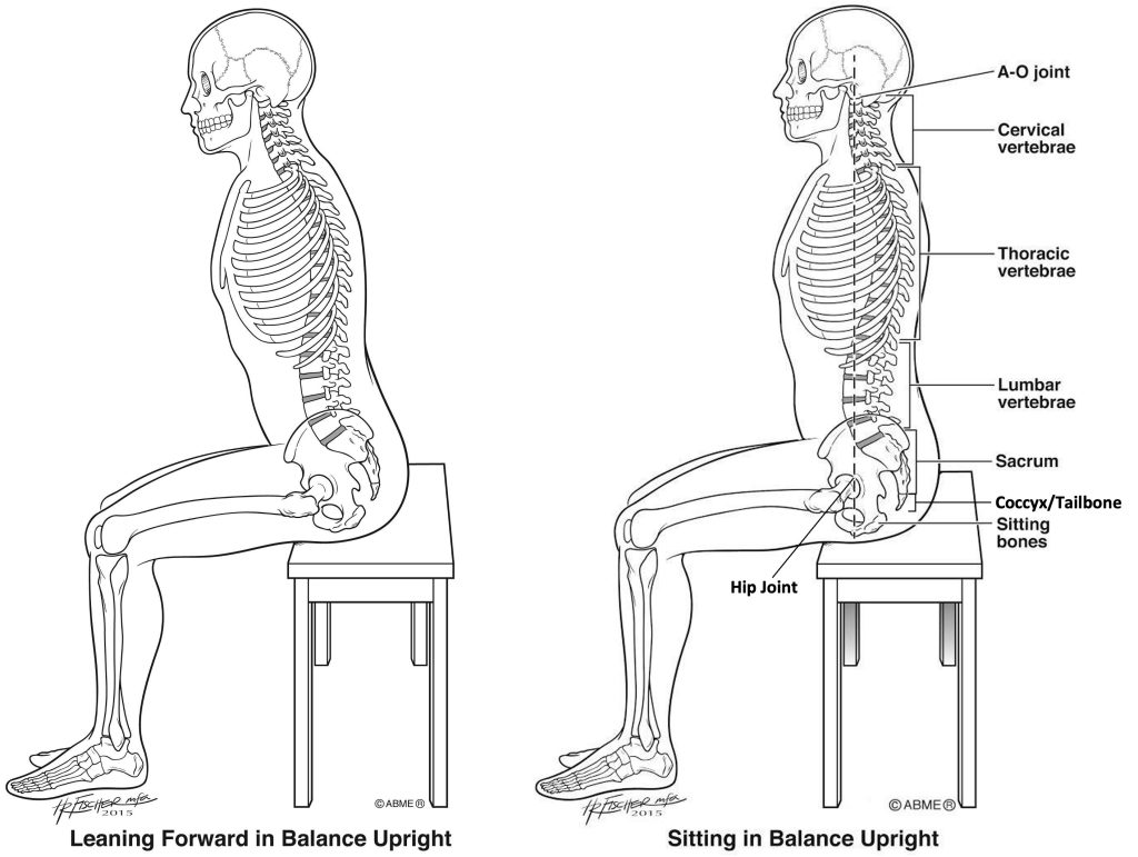 Sitting (labels) and Leaning Forward in Balance Upright