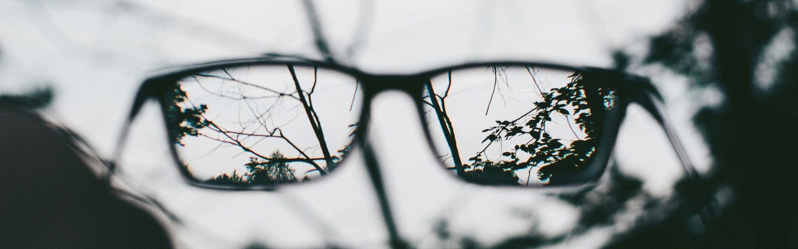 Glasses by andrik-langfield-BCChEYrooGU-unsplash