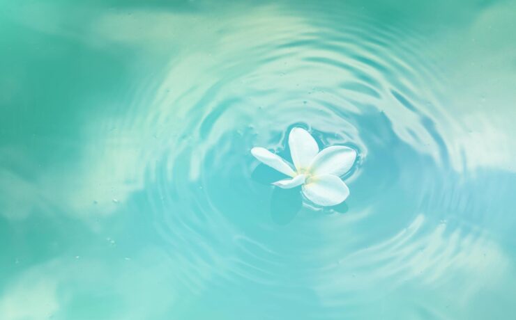 Photo by NEOSiAM 2024+