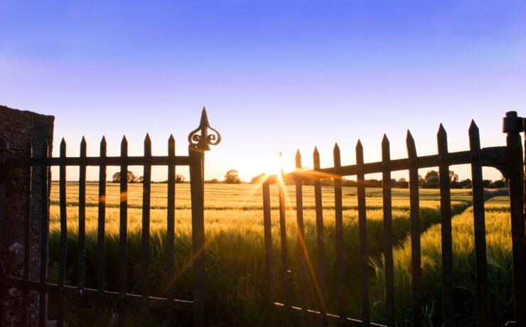 Gate photo by Dave McDermott